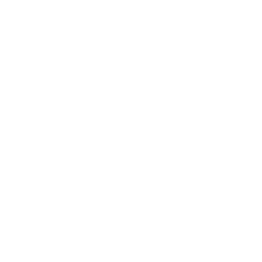 Airvan International: weltweiter Service