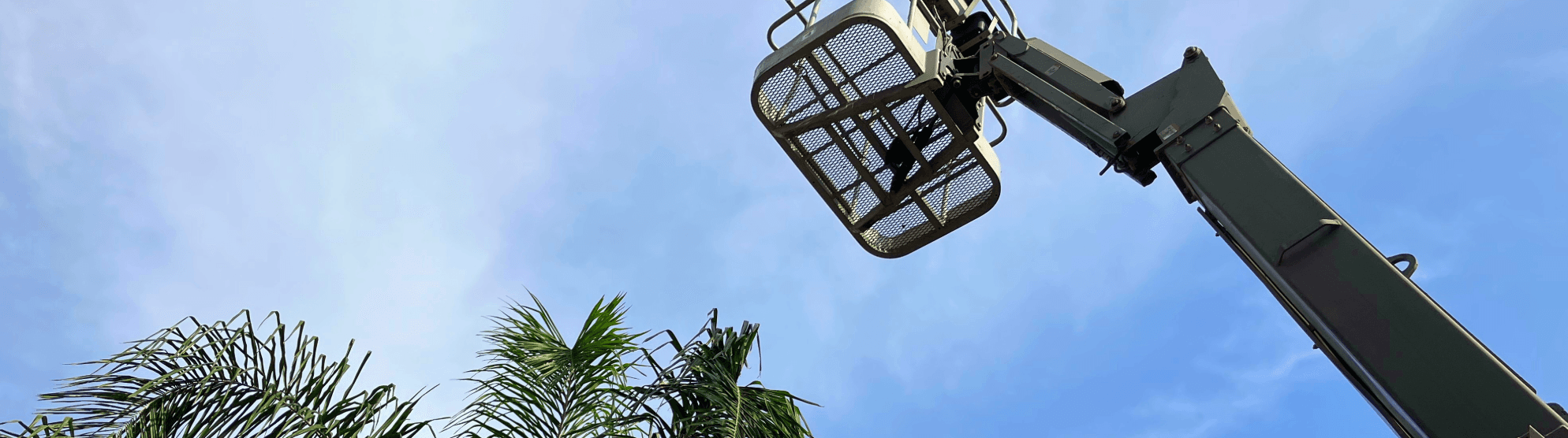 External lift with work platform on telescopic boom against blue sky, palm trees at bottom.