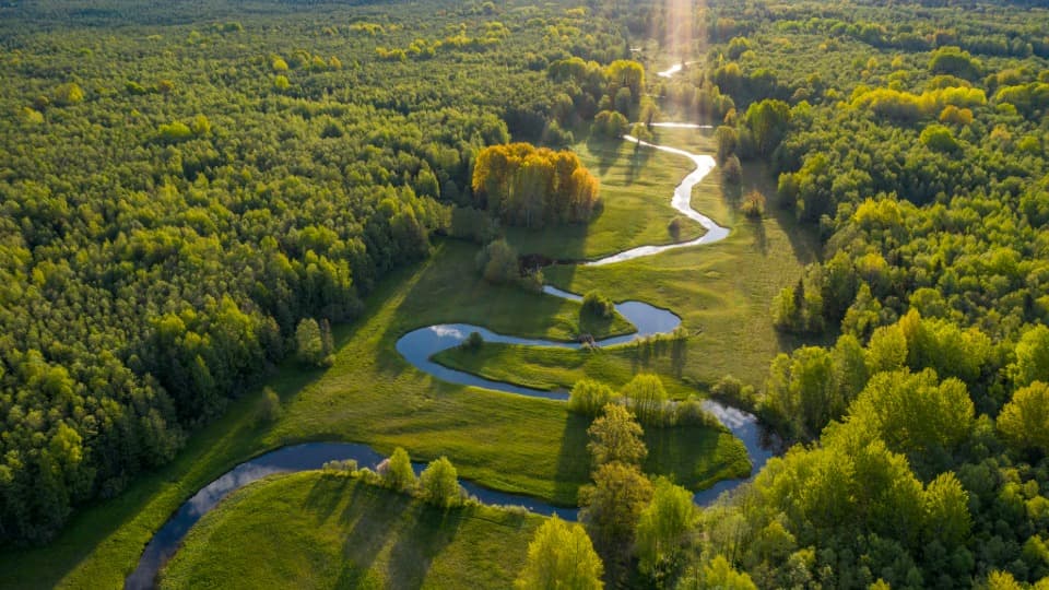 Luftaufnahme von Flusslandschaft und dichtem Wald in Estland bei tiefstehender Sonne
