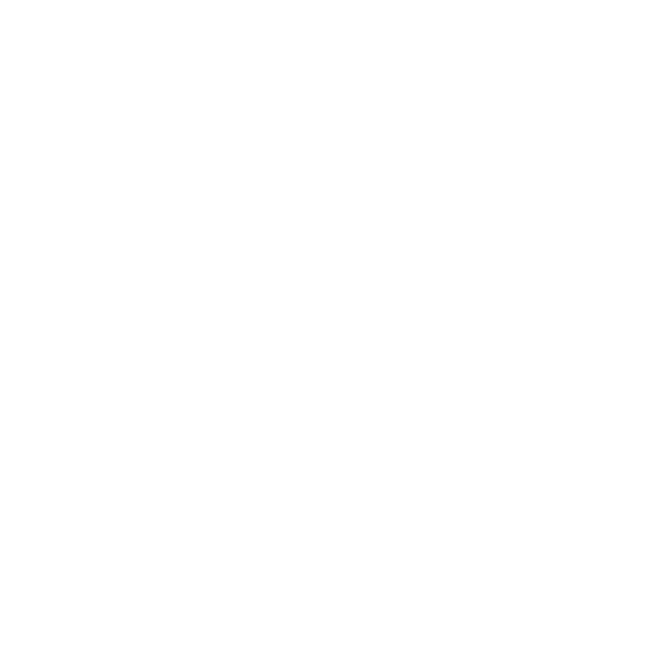 Icon eines Reisepasses für Business Visa Indien und Geschäftsreisen ohne Arbeitsaufnahme