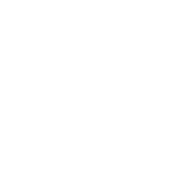 Icon einer vernetzten Weltkugel für E-Visum Indien und digitale Visumanträge