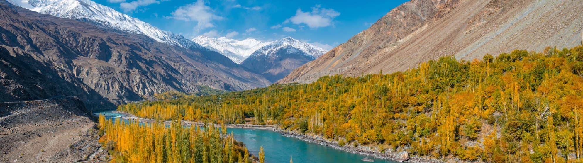 Emigrate to Pakistan