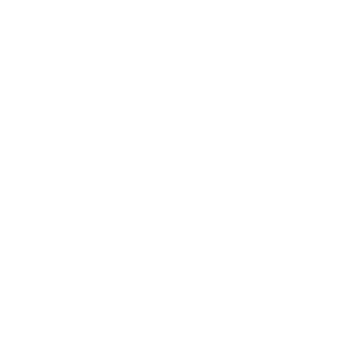 Containerschiff-Symbol mit Sicherheitsschild – umfassende Absicherung bei großer Havarie beim Umzug.