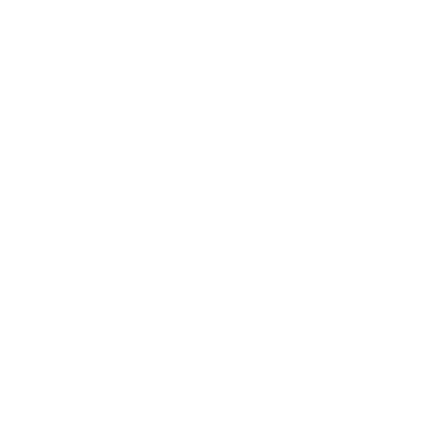 Aktentasche auf Hand - Fachkräftevisum