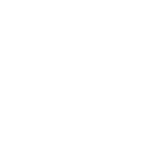 Icon: shuttle service for difficult access