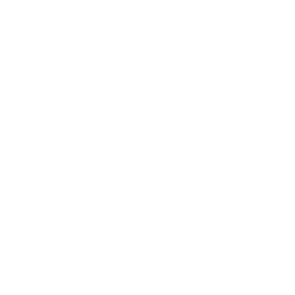 Padlock icon with check mark symbolizing security