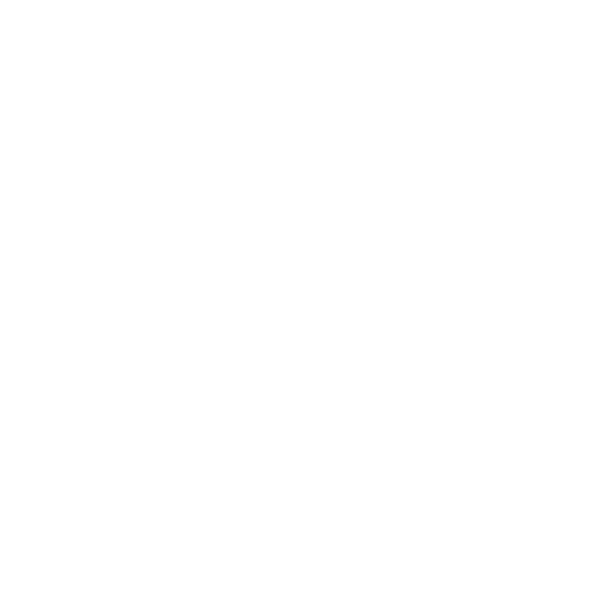 Icon of an airplane over a globe – symbolizing international transport for moving with pets to Norway.