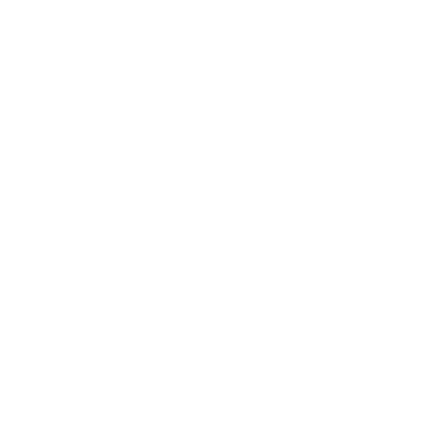 New goods – customs-relevant moving items