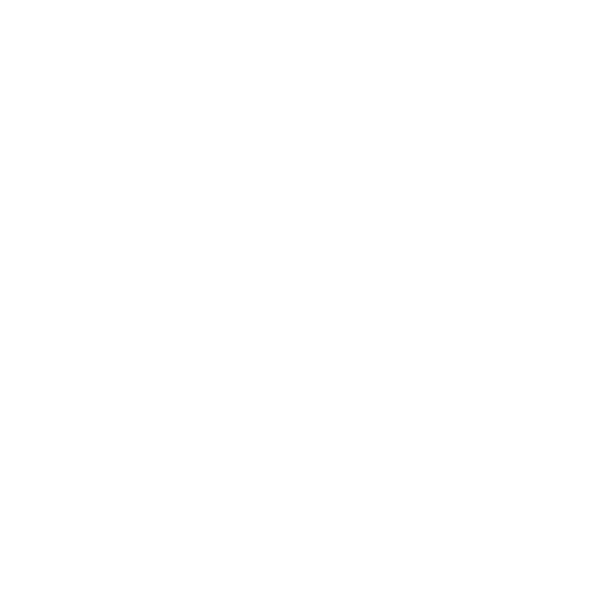 Car import – customs clearance for relocation