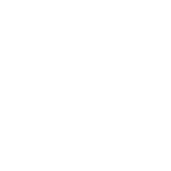 Icon of a piece of meat – indicates food items relevant for customs during a USA move.