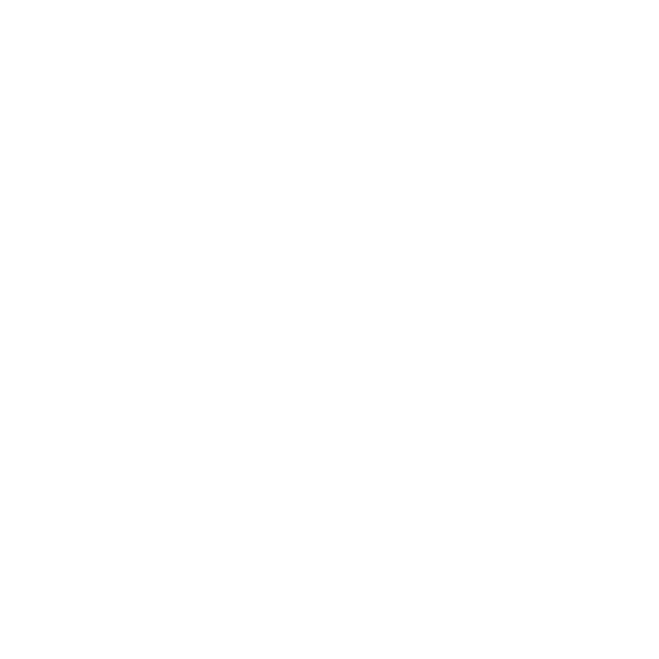 Medication icon – important note on drug import regulations for U.S. customs during your move.