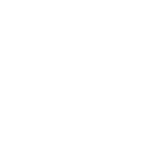 Pet food bowl