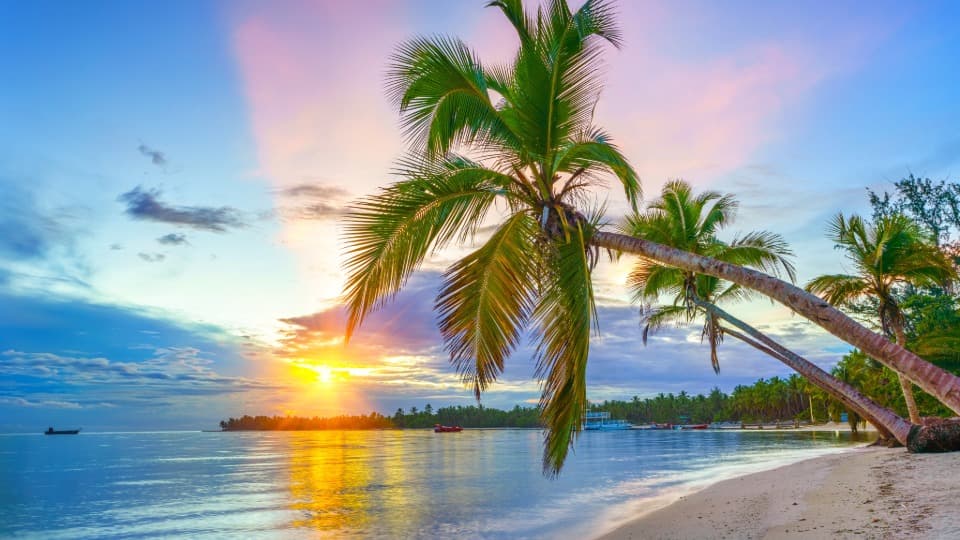 Strand mit Palmen bei Sonnenuntergang in der Dominikanischen Republik