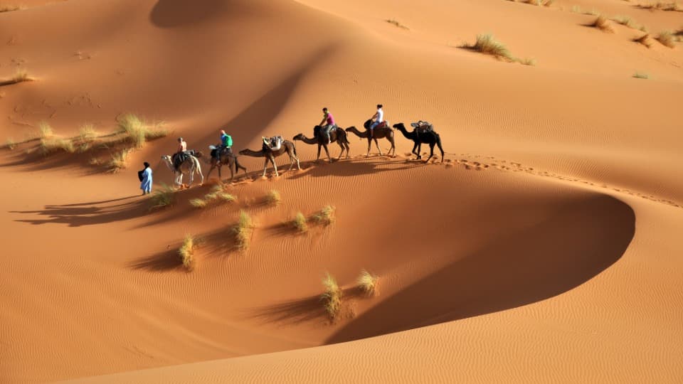 Guided camel tour through the Sahara Desert in Tunisia - Safety in Tunisia