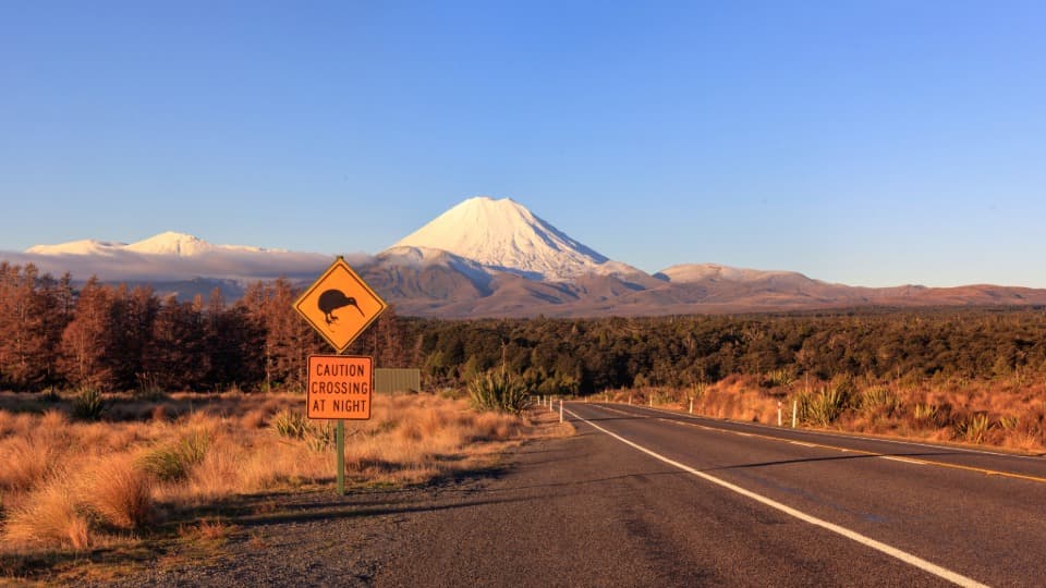 Auswandern nach Neuseeland: Sicherheit