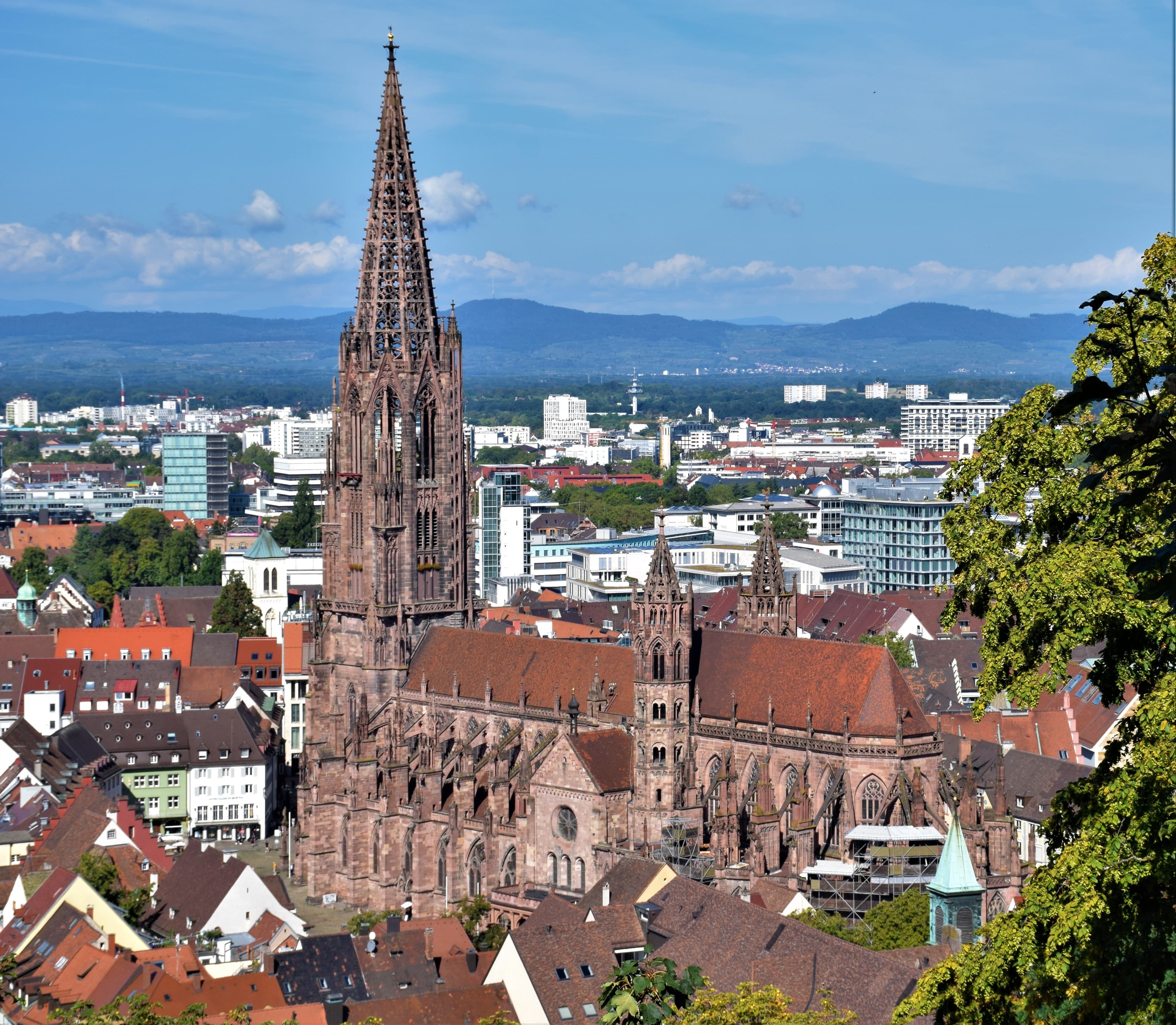 Umzugsunternehmen Freiburg: Freiburger Münster