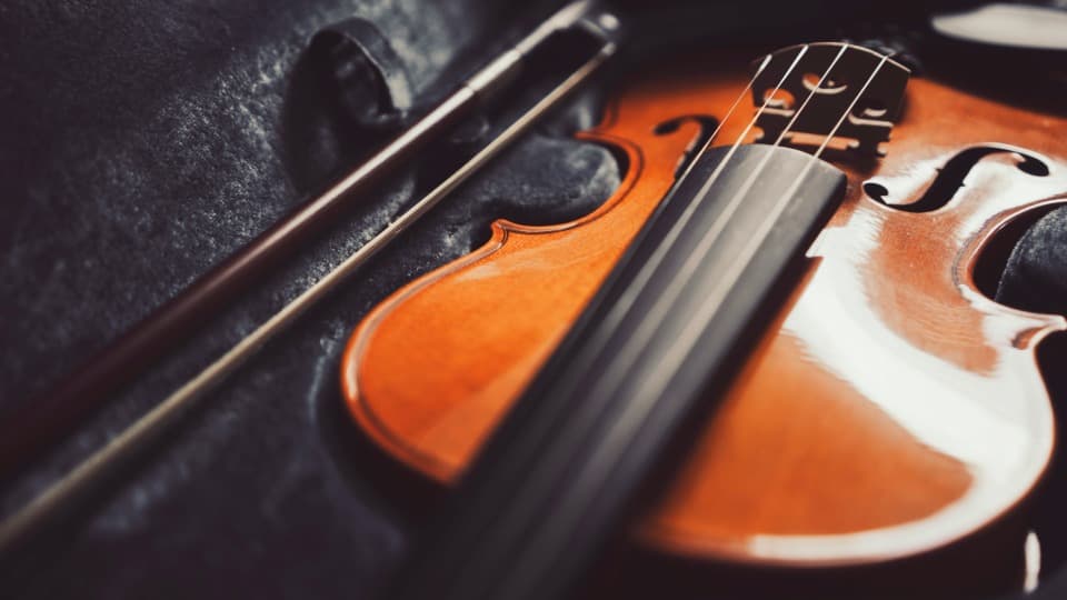 Eine edle Violine mit fixiertem Geigenbogen liegt geschützt in ihrem Koffer für den sichern Transport mit DACHSER & KOLB.