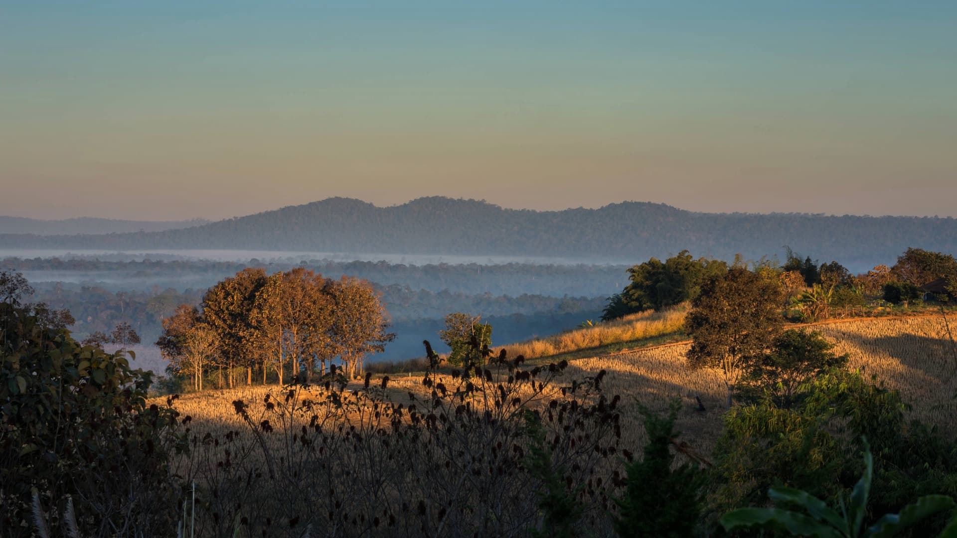 Landschaft an der Elfenbeinküste