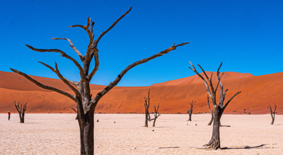 Auswandern Namibia: Big Daddy Düne