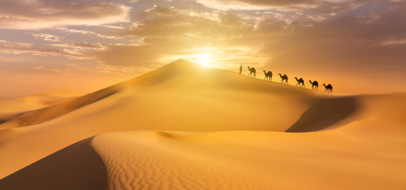 Auswandern nach Tunesien: Klima