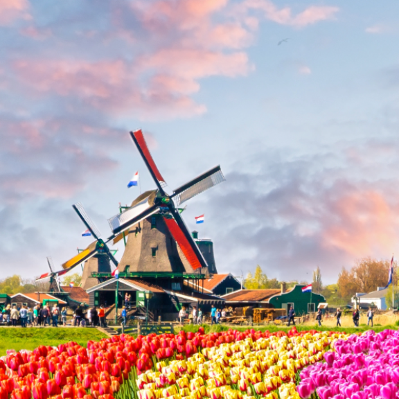 Auswandern in die Niederlande