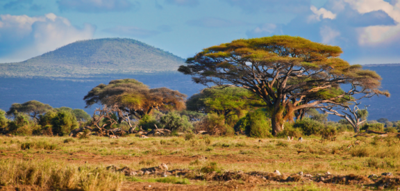 Auswandern Marokko: Klima