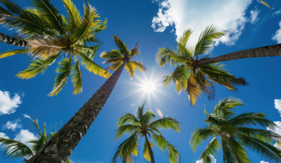 Auswandern in die Dominikanische Republik: Klima