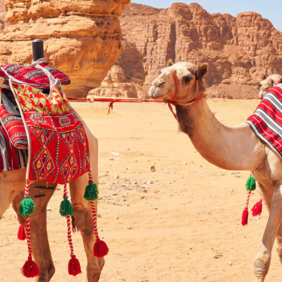 Auswandern nach Saudi Arabien