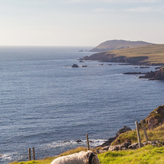 Auswandern nach Irland