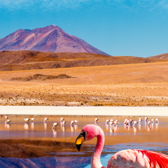 Auswandern nach Bolivien