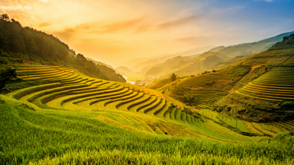 Emigrate to Vietnam: Climate