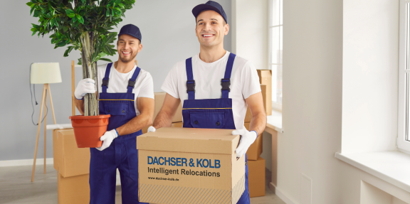 Zwei Umzugshelfer von DACHSER & KOLB beim Tragen von Umzugskarton und Pflanze – Umzugsunternehmen finden leicht gemacht.