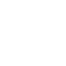 Icon Hohe Sicherheit und professionelle Abwicklung für Less than Container Load LCL Teilcontainerladungen.