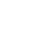 Icon eines Flugzeugs vor einer Weltkugel – Symbol für internationalen Transport beim Umzug mit Tieren nach Norwegen.