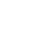 Transportbox für Haustiere - Dog Import Permit & Artenschutz